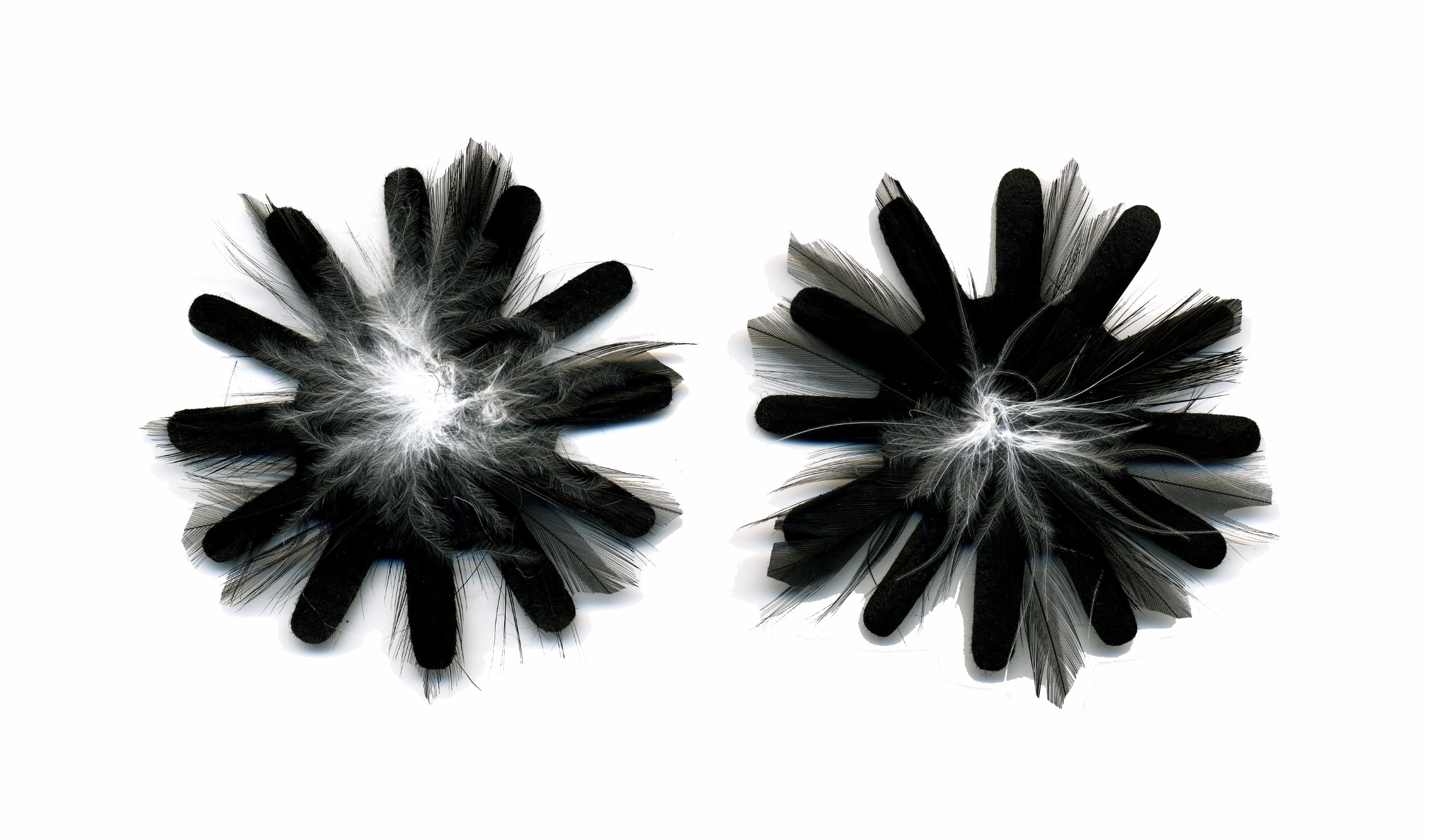 ZUCKER Feather Products Felt Rooster Hackle Shoe Clip - Image 3