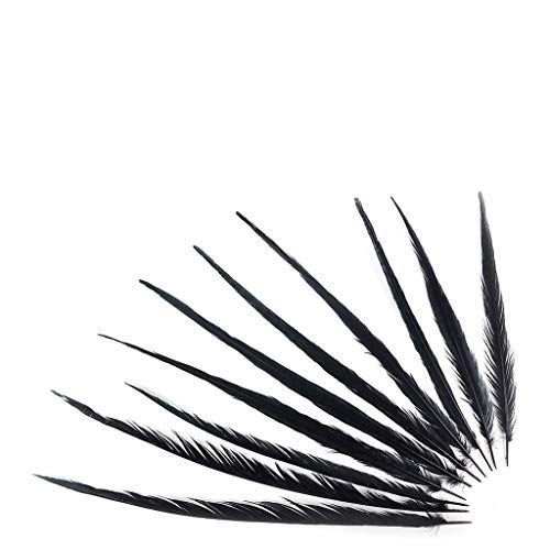 Zucker Feather (TM) - Pheasant Tails Assorted Bleached - Black - Image 3
