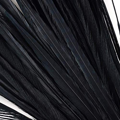 Zucker Feather (TM) - Pheasant Tails Assorted Bleached - Black - Image 5