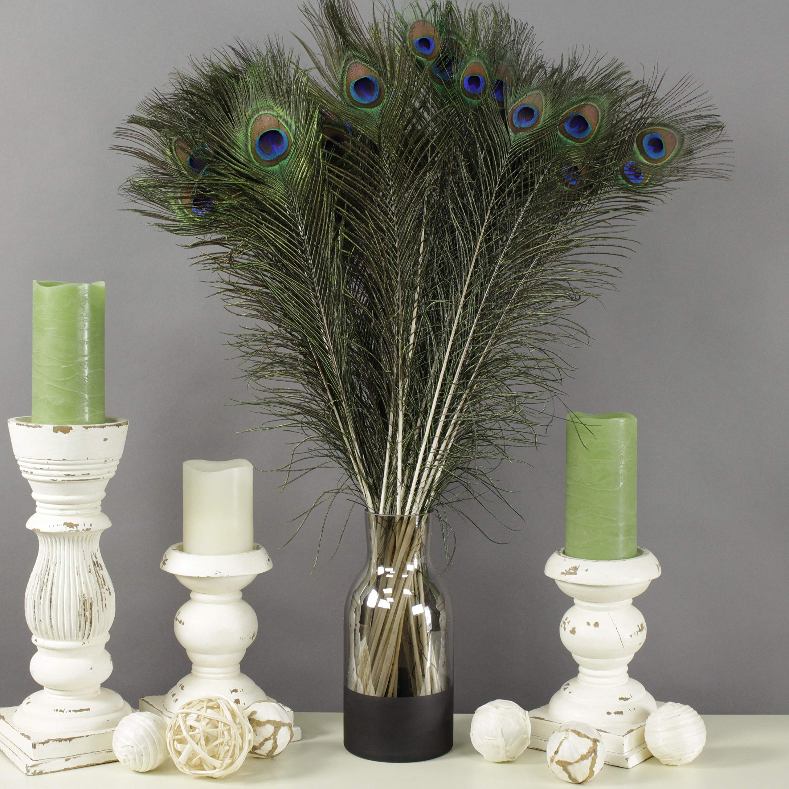 Zucker – Halloween Bundle – Spooky Fall Décor - Image 3