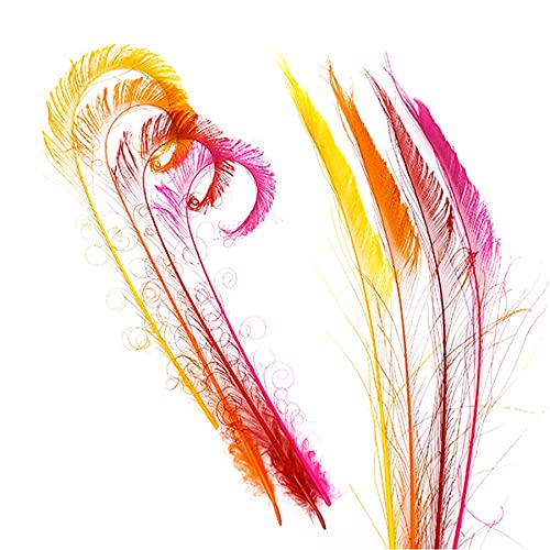 ZUCKER Peacock Swords Bleach Mix Dyed - Fiesta Mix - Image 3
