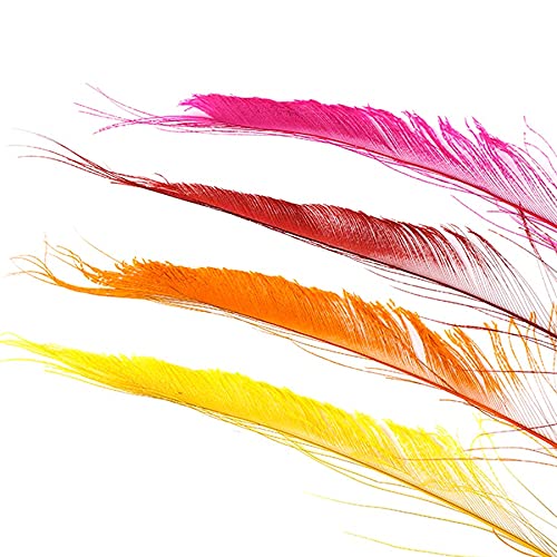 ZUCKER Peacock Swords Bleach Mix Dyed - Fiesta Mix - Image 4