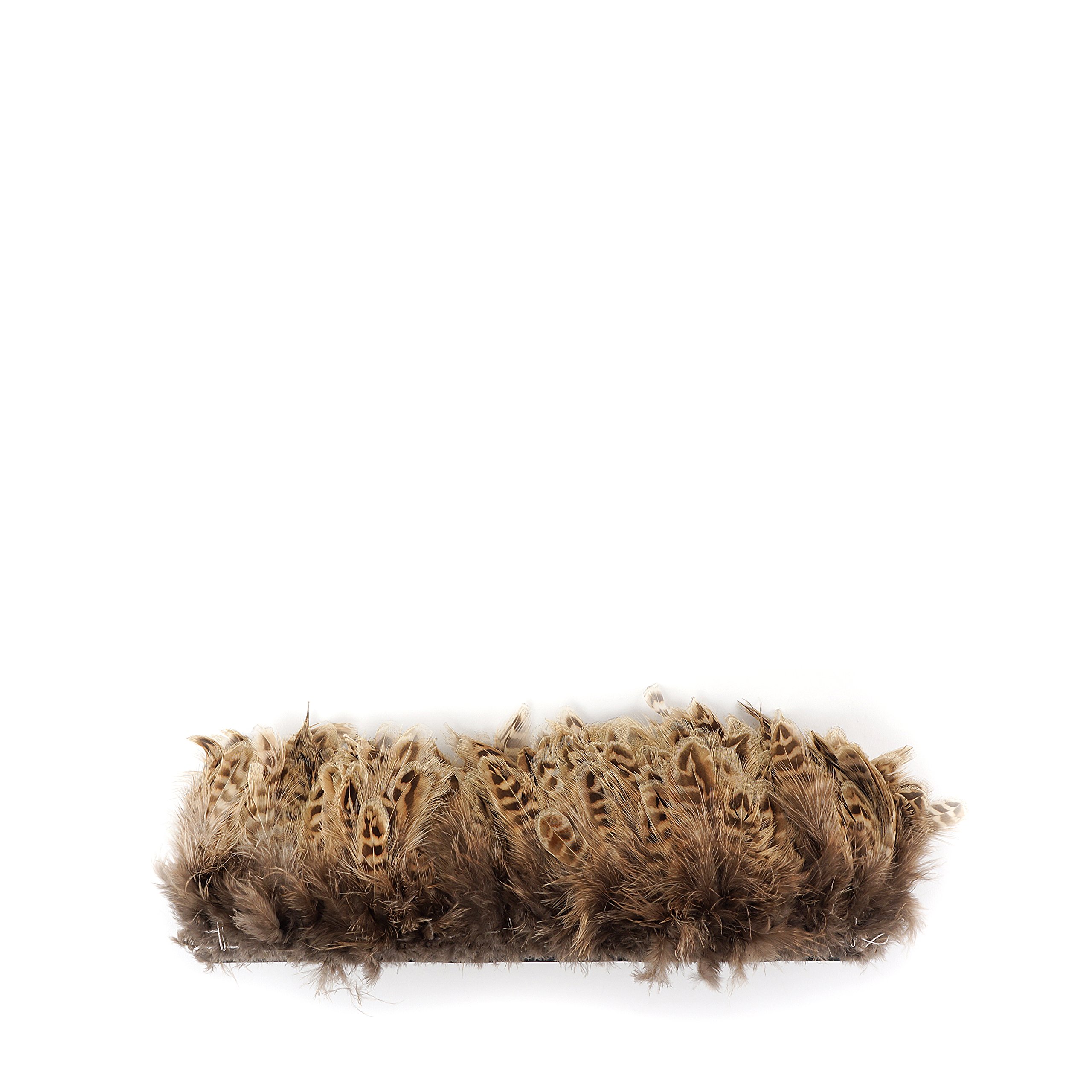 ZUCKER™ Ringneck Pheasant Plumage Feathers - Natural - Image 3