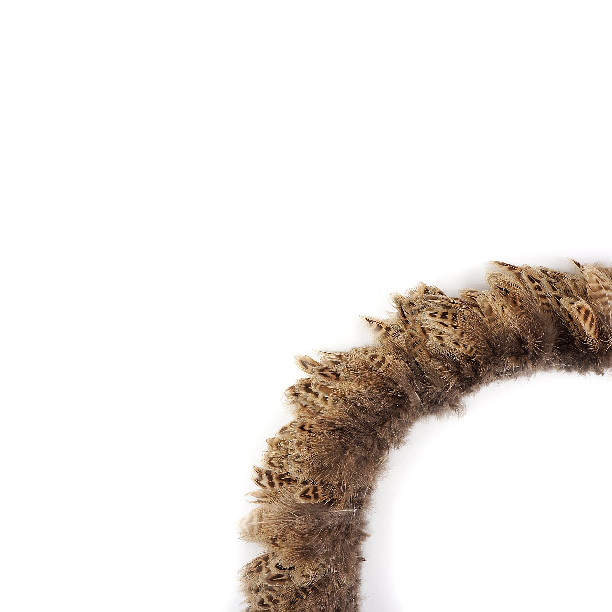 ZUCKER™ Ringneck Pheasant Plumage Feathers - Natural - Image 4